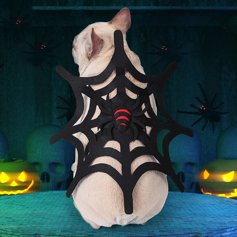 Halloween Pet Costume 6