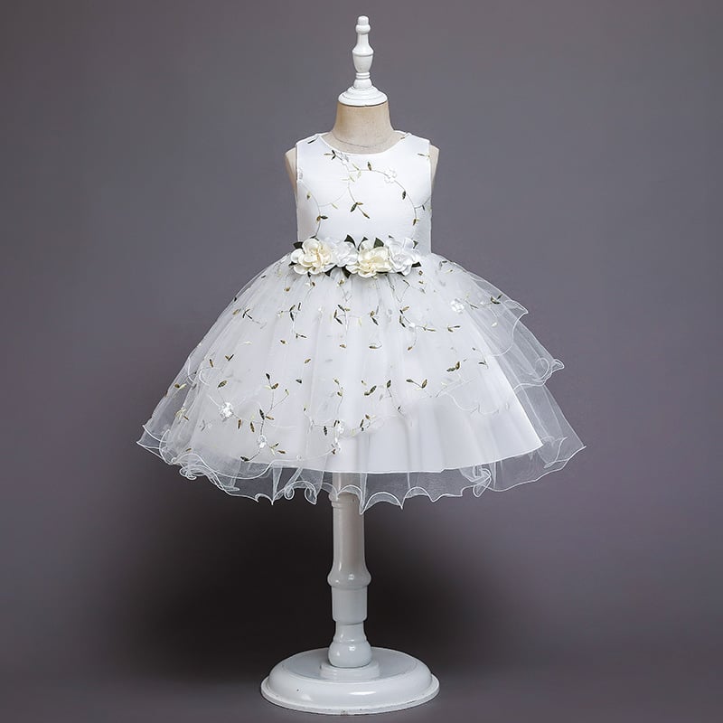 Dress Image