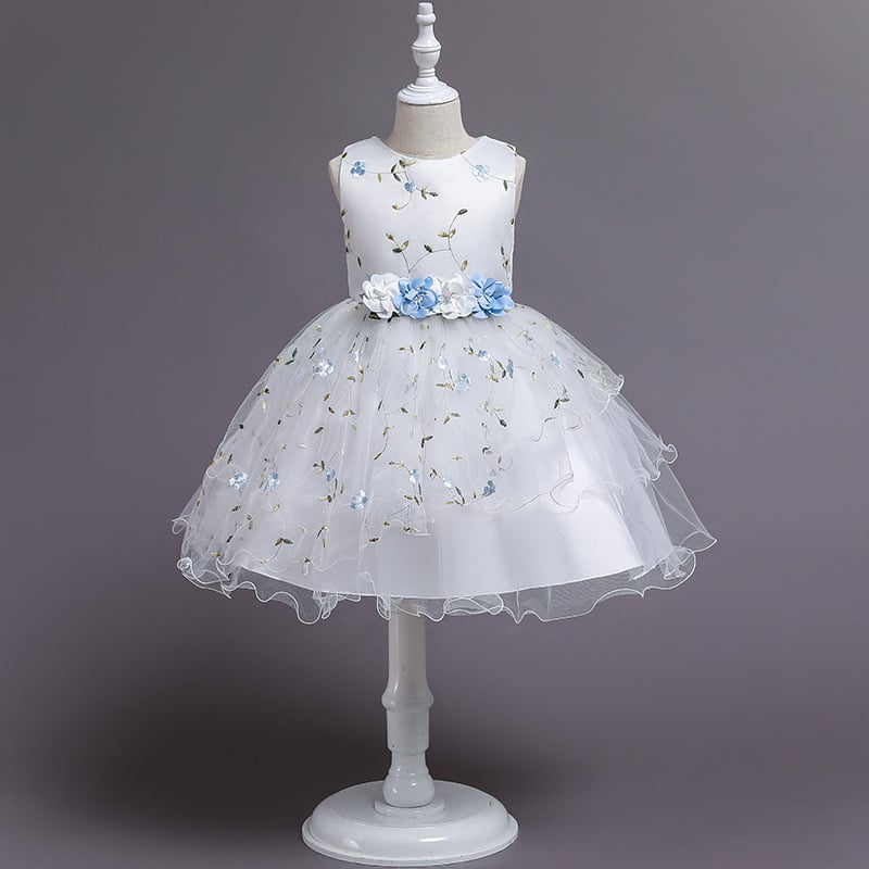 Dress Image