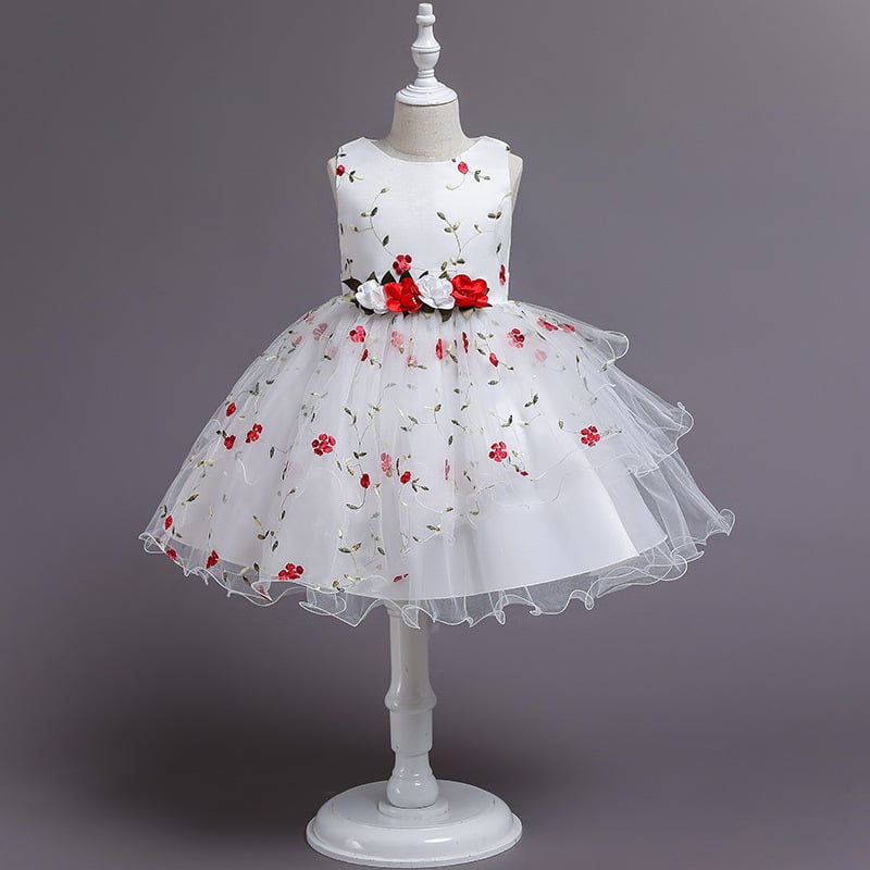 Dress Image