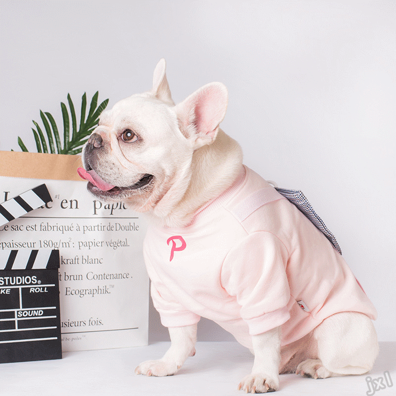 Dog Sweater 2