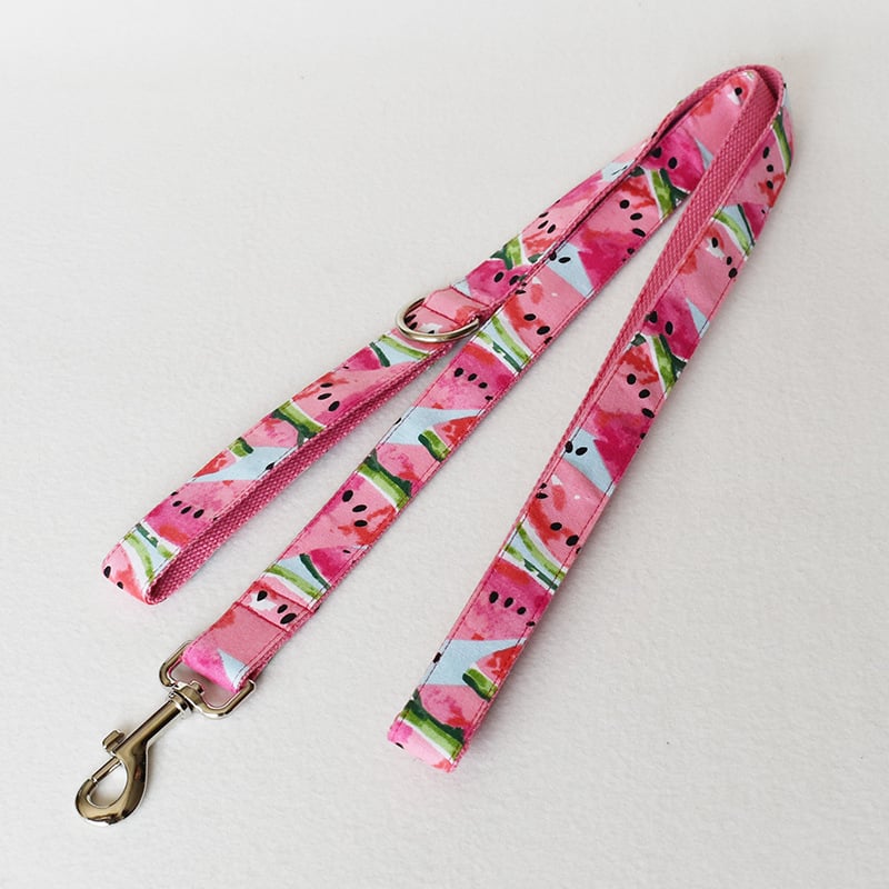 Dog Collar 6