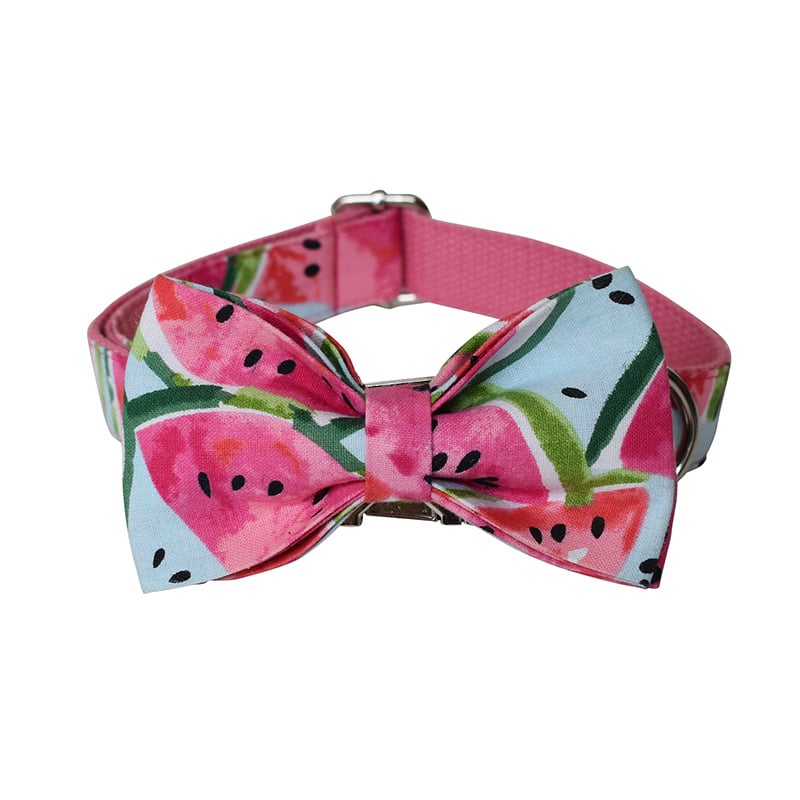Dog Collar 4