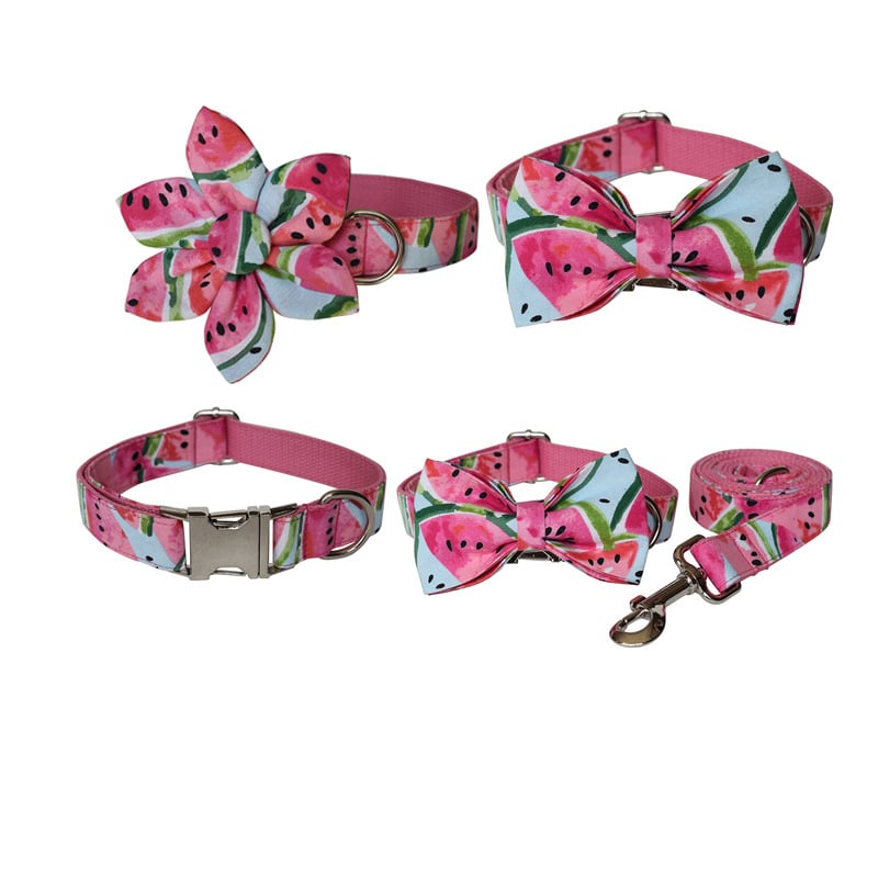 Dog Collar 1