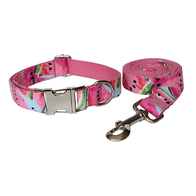 Dog Collar 5