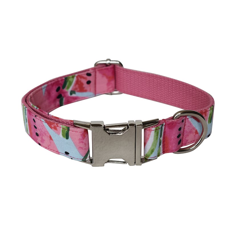 Dog Collar 2