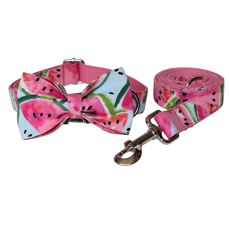 Dog Collar 7