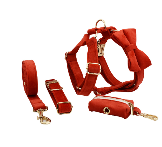 Stylish Pet Collar