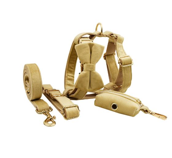 Dog Accessories