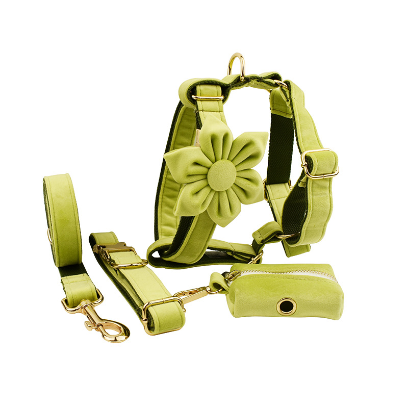 Dog Collar in Use