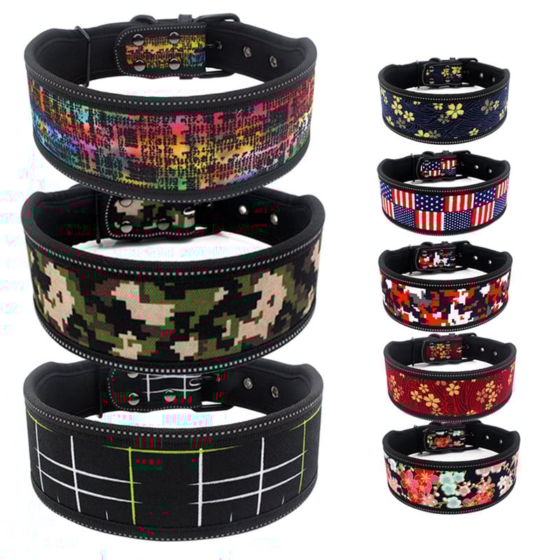 Reflective Dog Collar 8