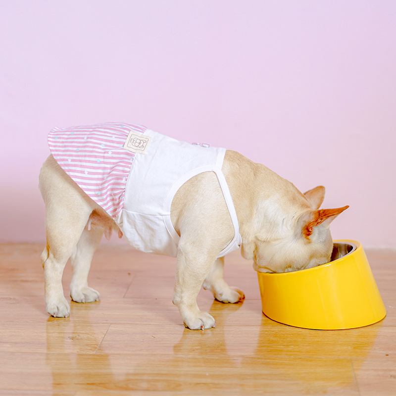 Comfortable Eating Experience for Pets