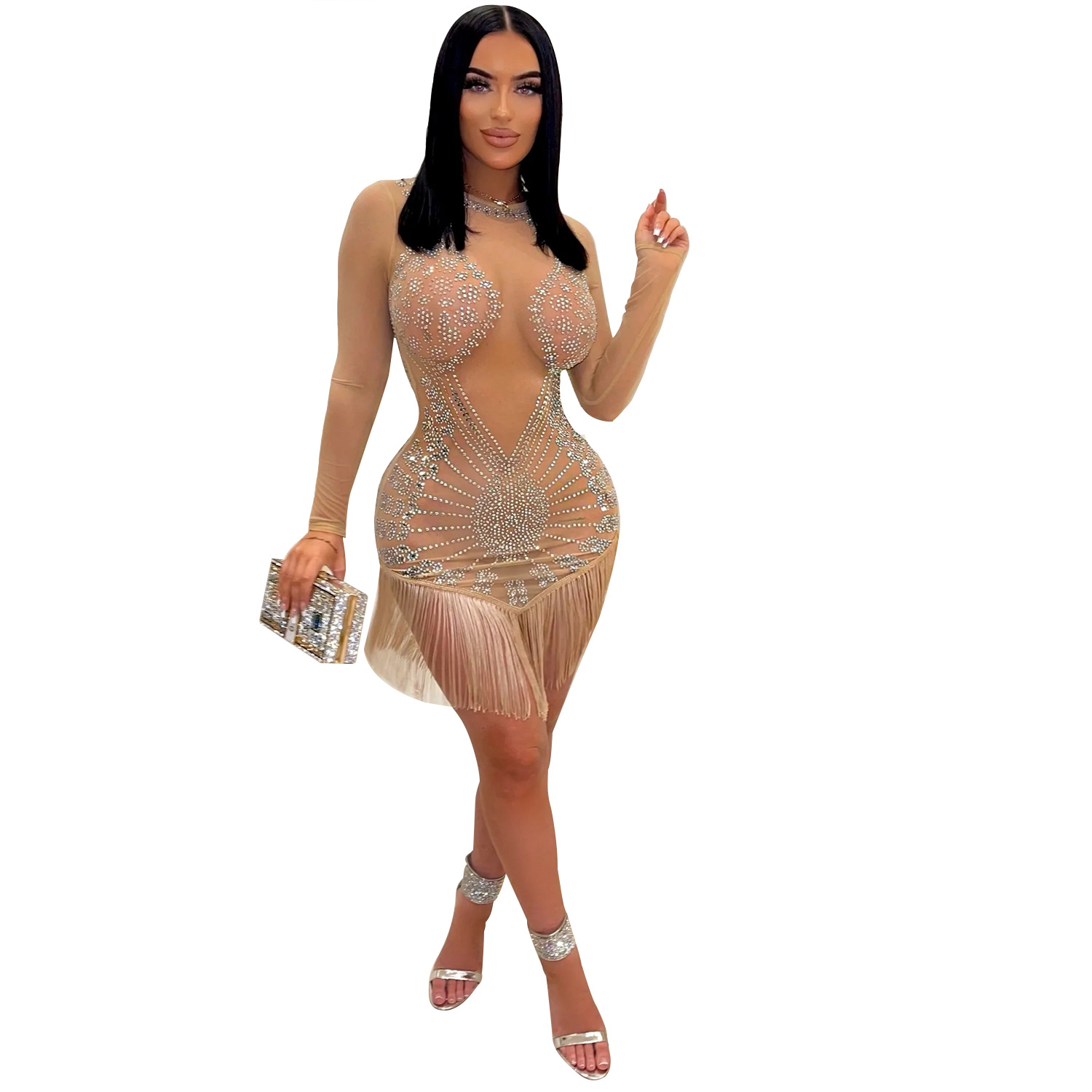Women's Fashion Mesh Tassel Dress 3
