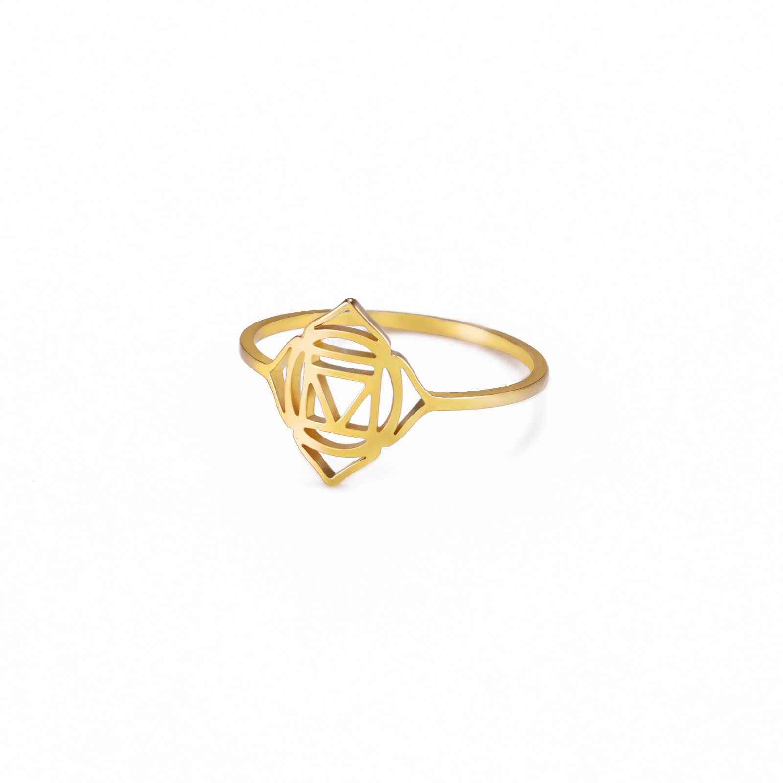 Titanium Steel Ring 5