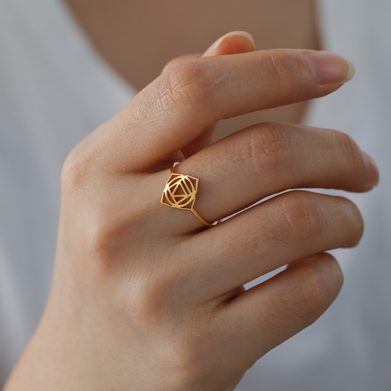 Titanium Steel Ring 1