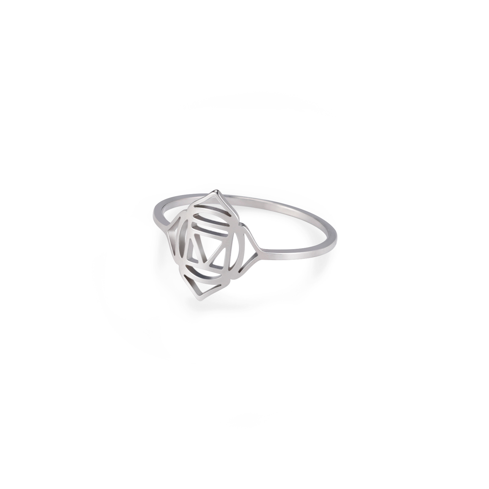 Titanium Steel Ring 2