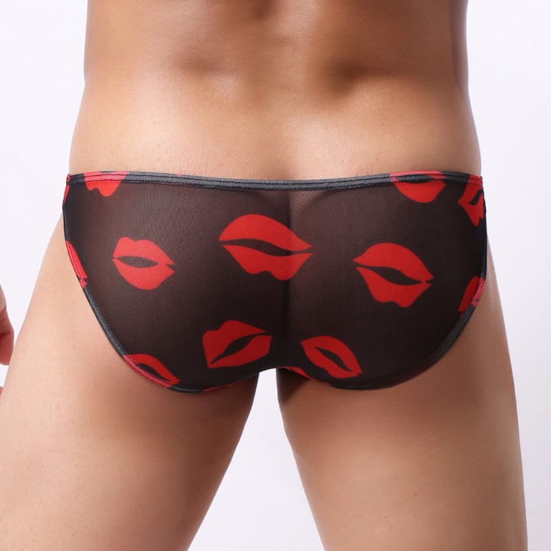 Lip Mesh Gauze Pants Image 4