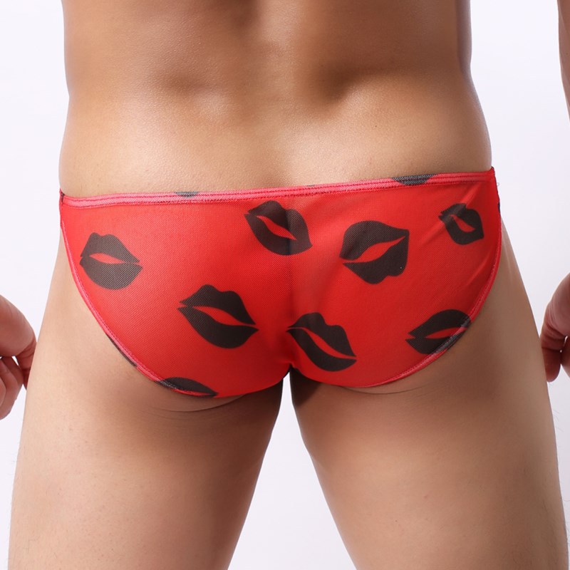 Lip Mesh Gauze Pants Image 3