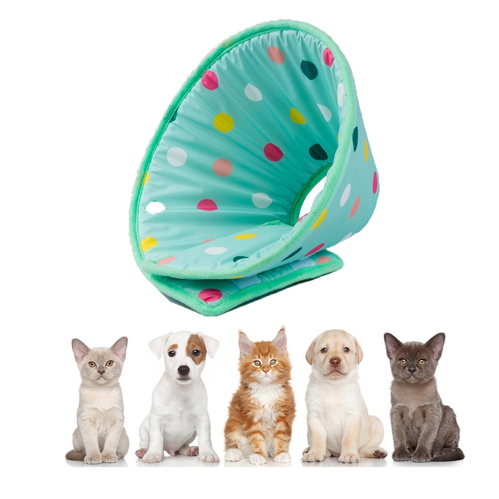 Anti Lick Protection Ring