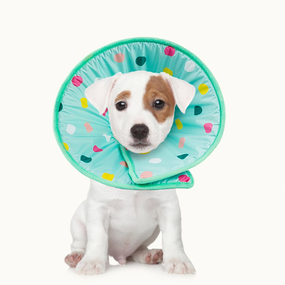 Comfortable Collar
