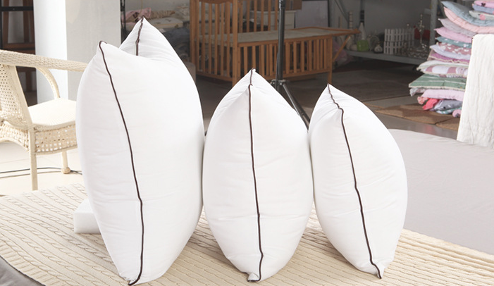 Feather Velvet Pillow Variants