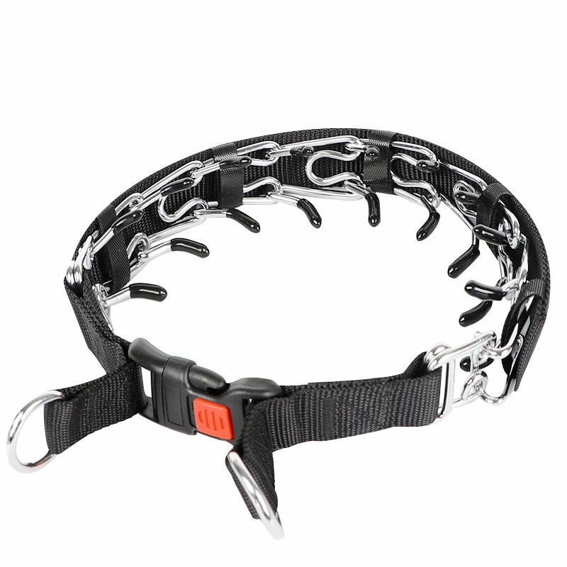 Dog Training Collar Image 5