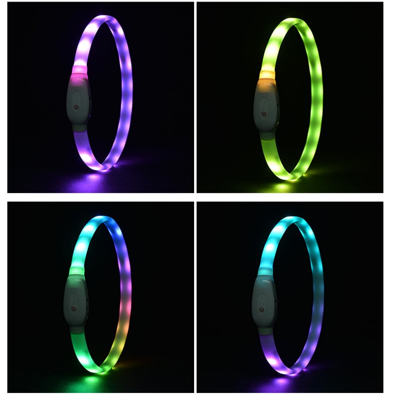 Luminous LED Collar in Action
