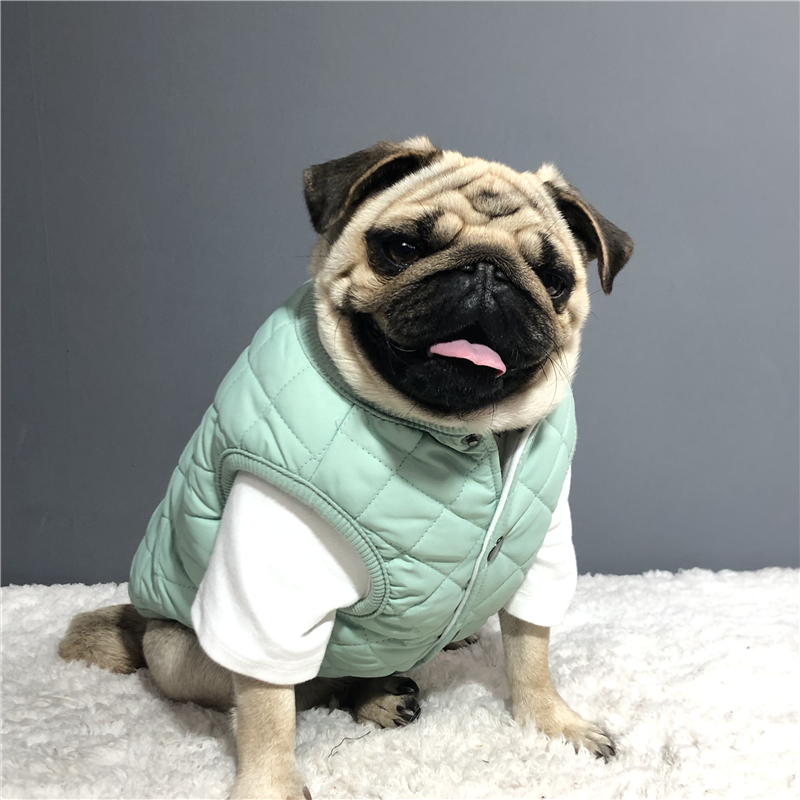 Dog Vest Image 2