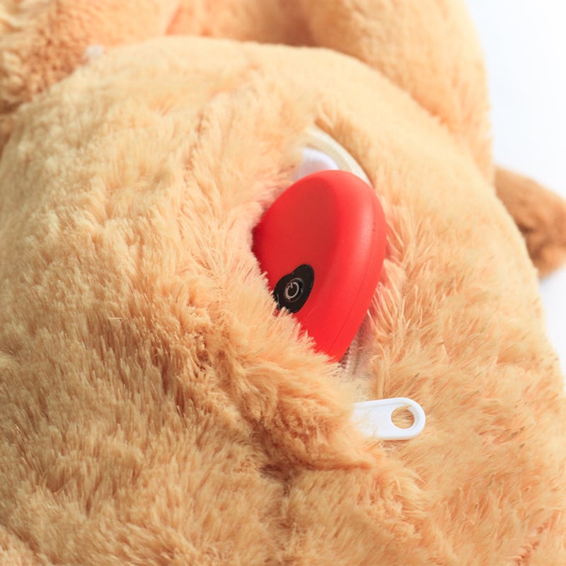 Heartbeat Box Pet Toy