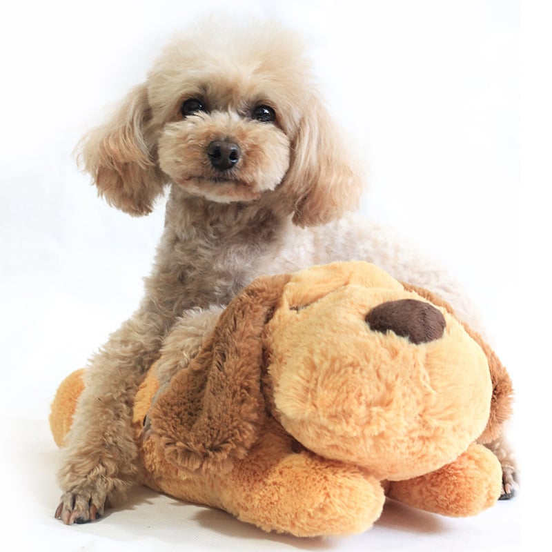 Heartbeat Box Pet Toy