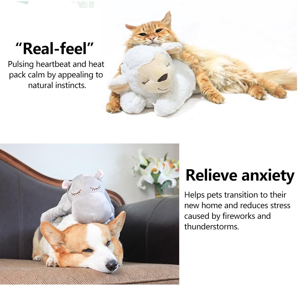 Heartbeat Box Pet Toy