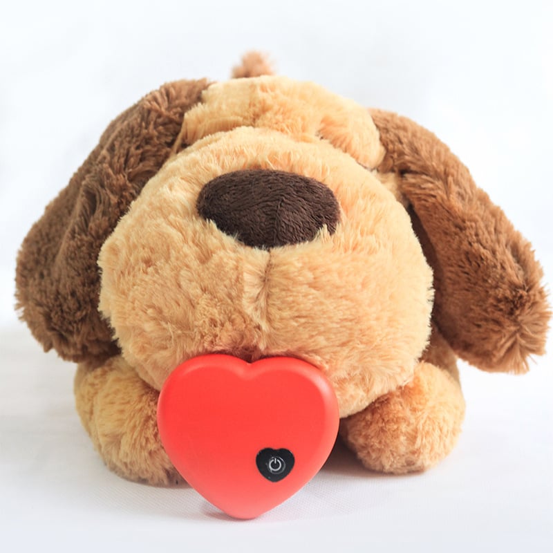 Heartbeat Box Pet Toy
