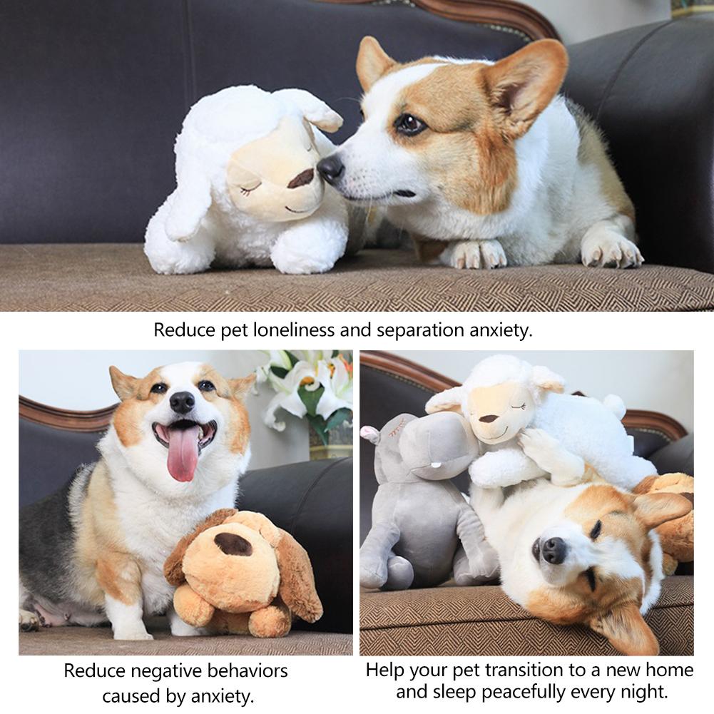Heartbeat Box Pet Toy