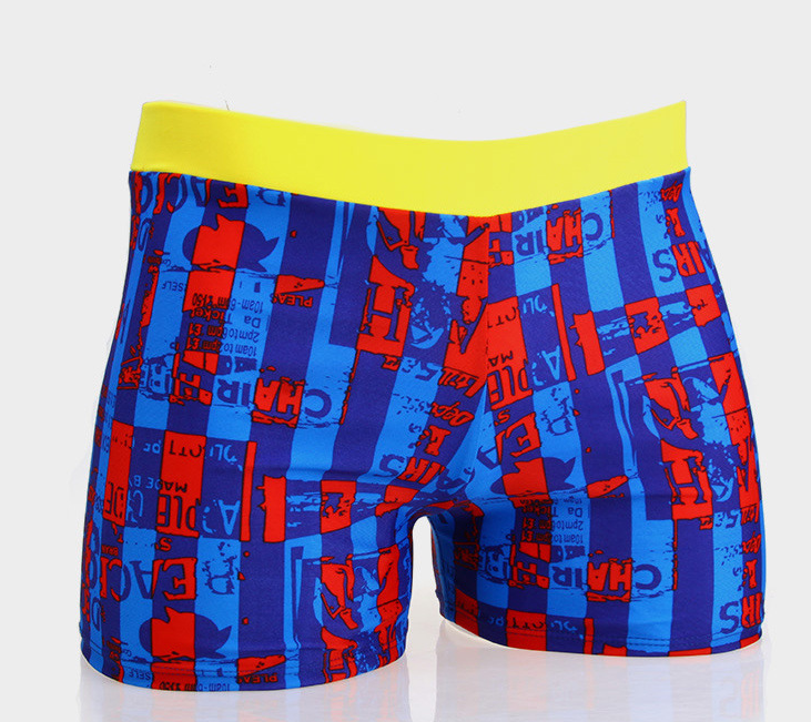 Swimming Trunks Image 5