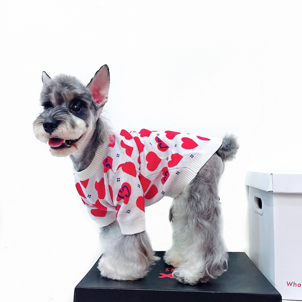 Sweater for Pets 4