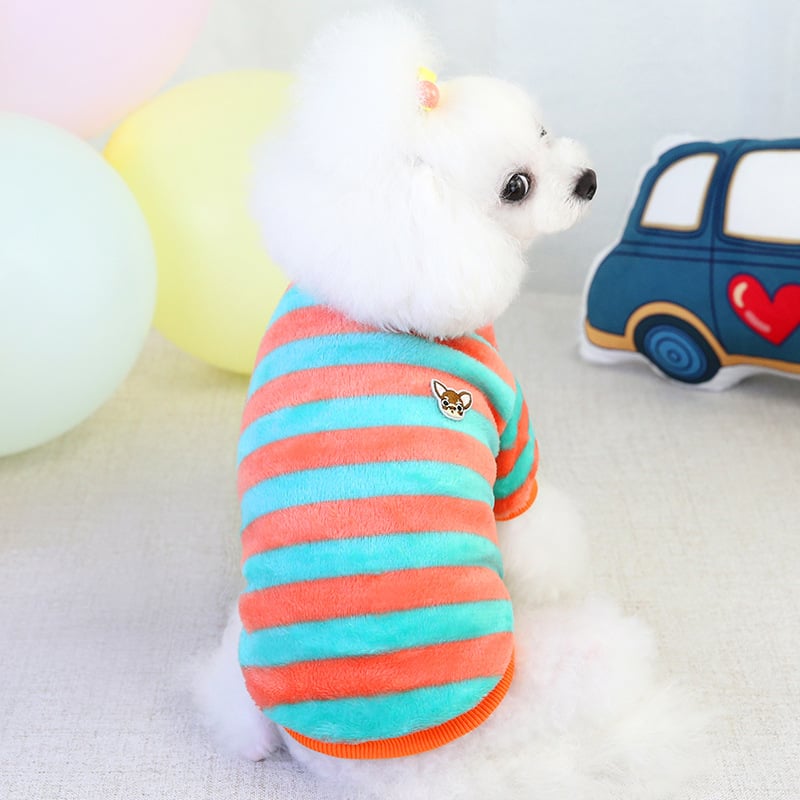 Stylish Winter Teddy Bichon Clothing