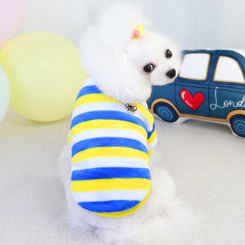 Cozy Winter Teddy Bichon Clothing