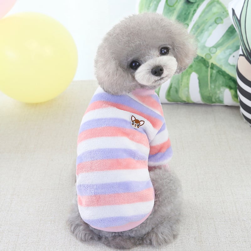 Winter Teddy Bichon Clothing for cats