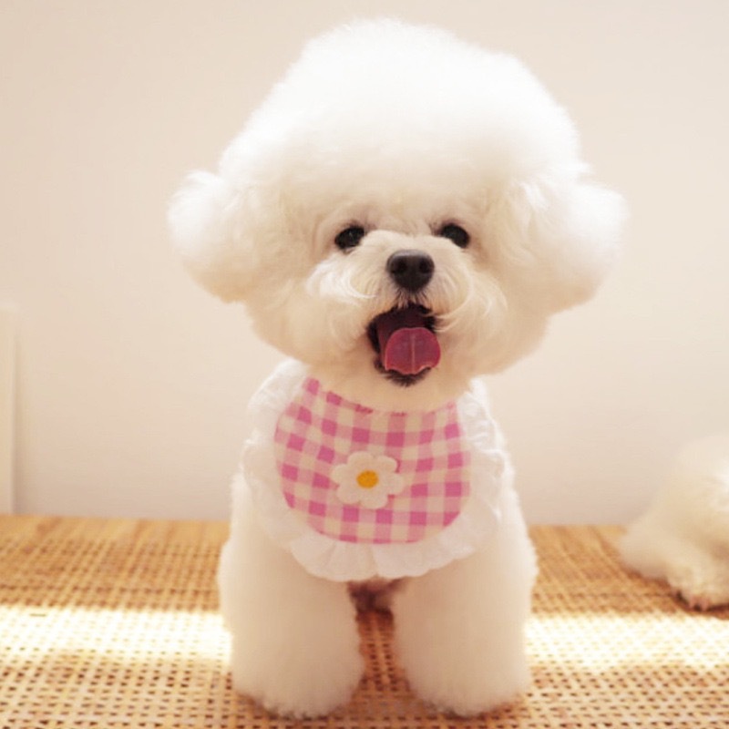 Pink Flower Plaid Bib