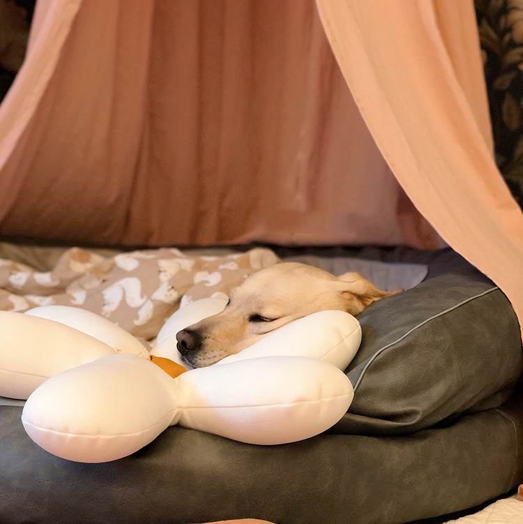 Pet Tent - Image 1