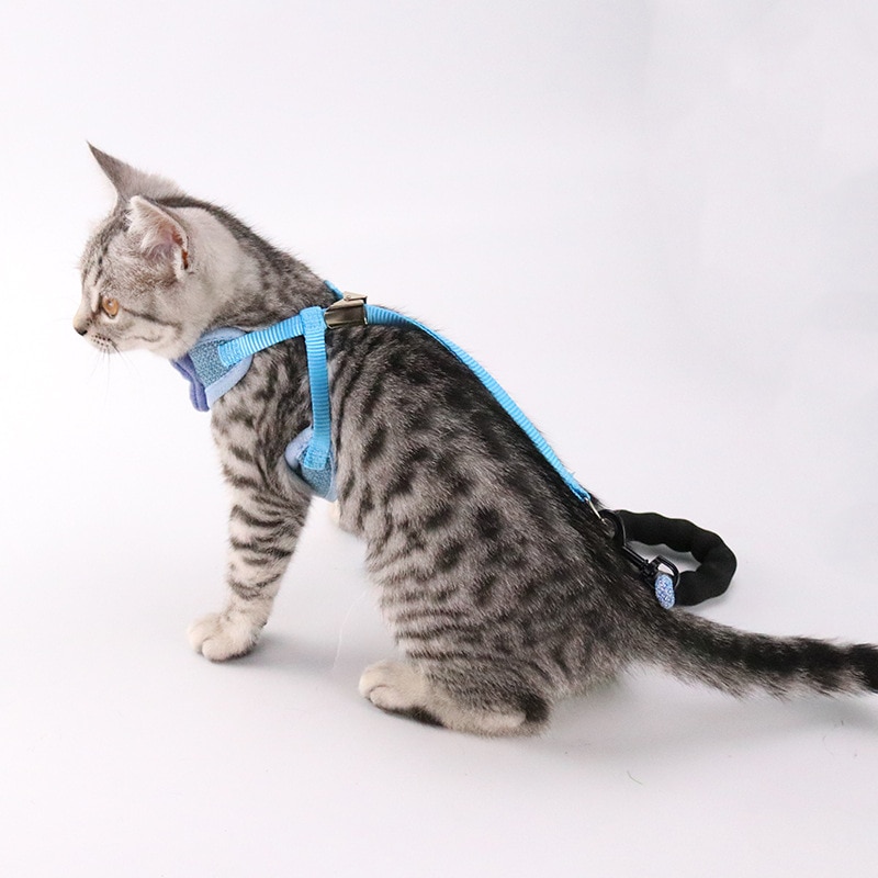 Pet Chest and Back Leash 3