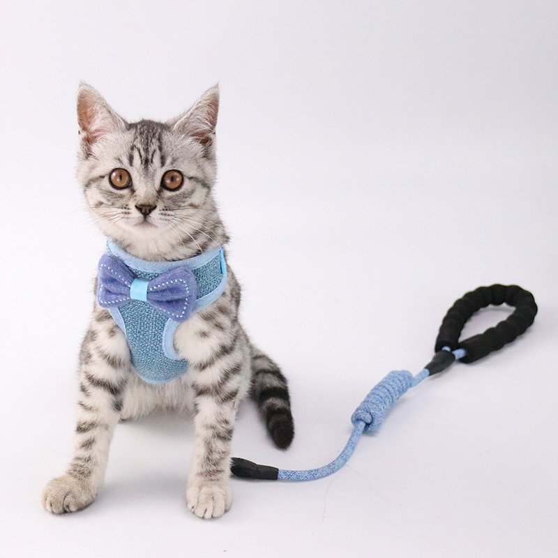 Pet Chest and Back Leash 1