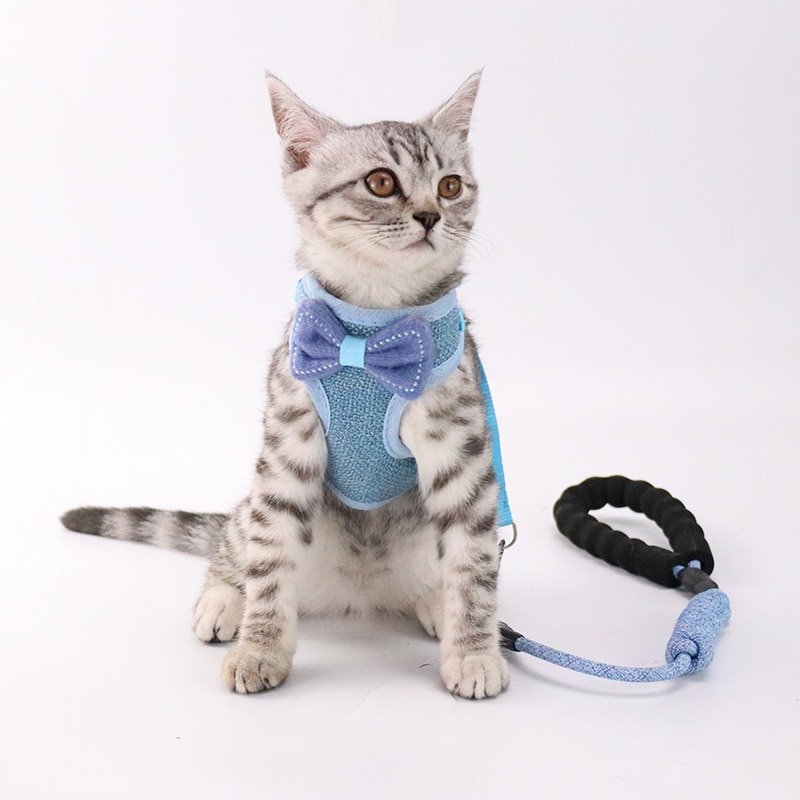 Pet Chest and Back Leash 2