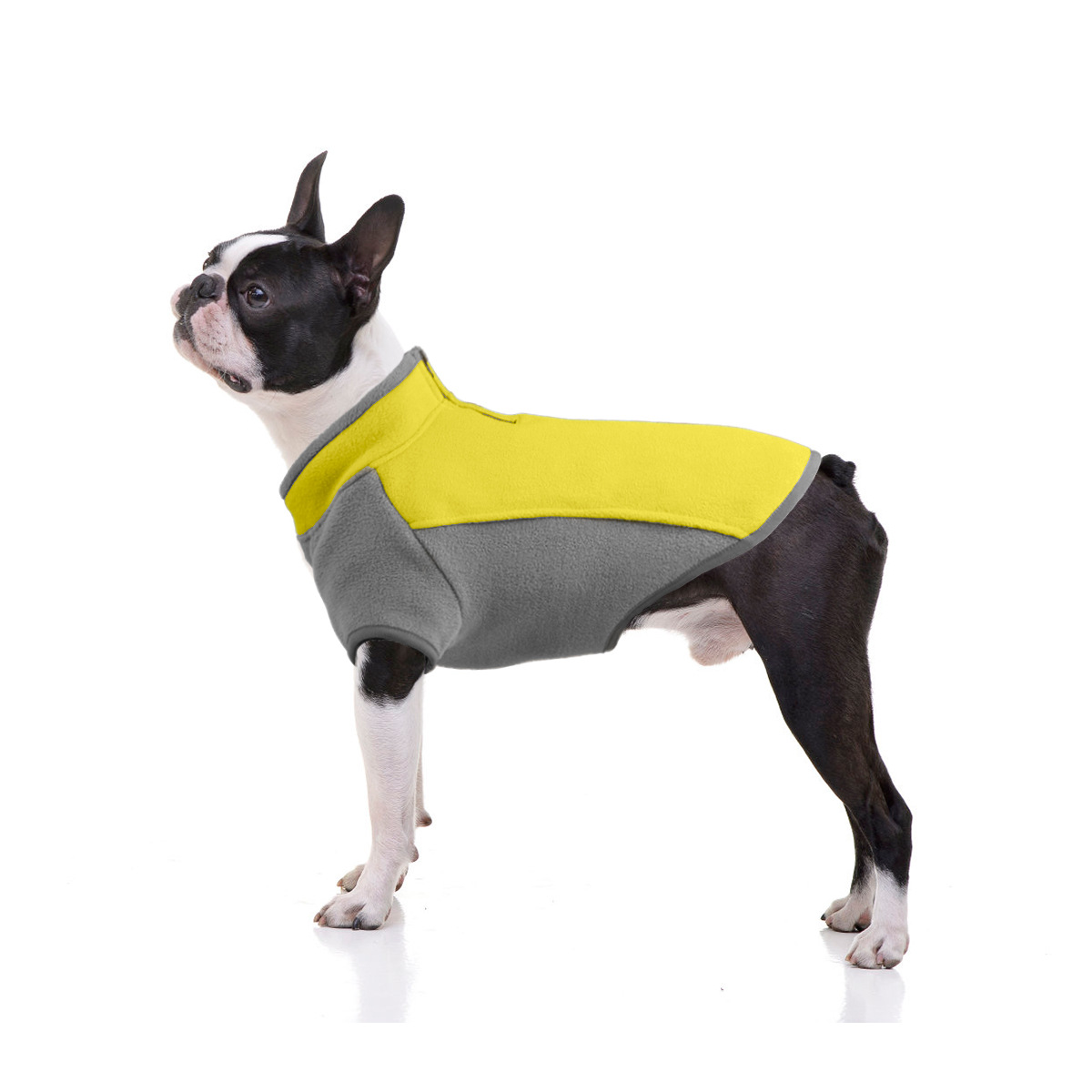 Dog Sweater Collection