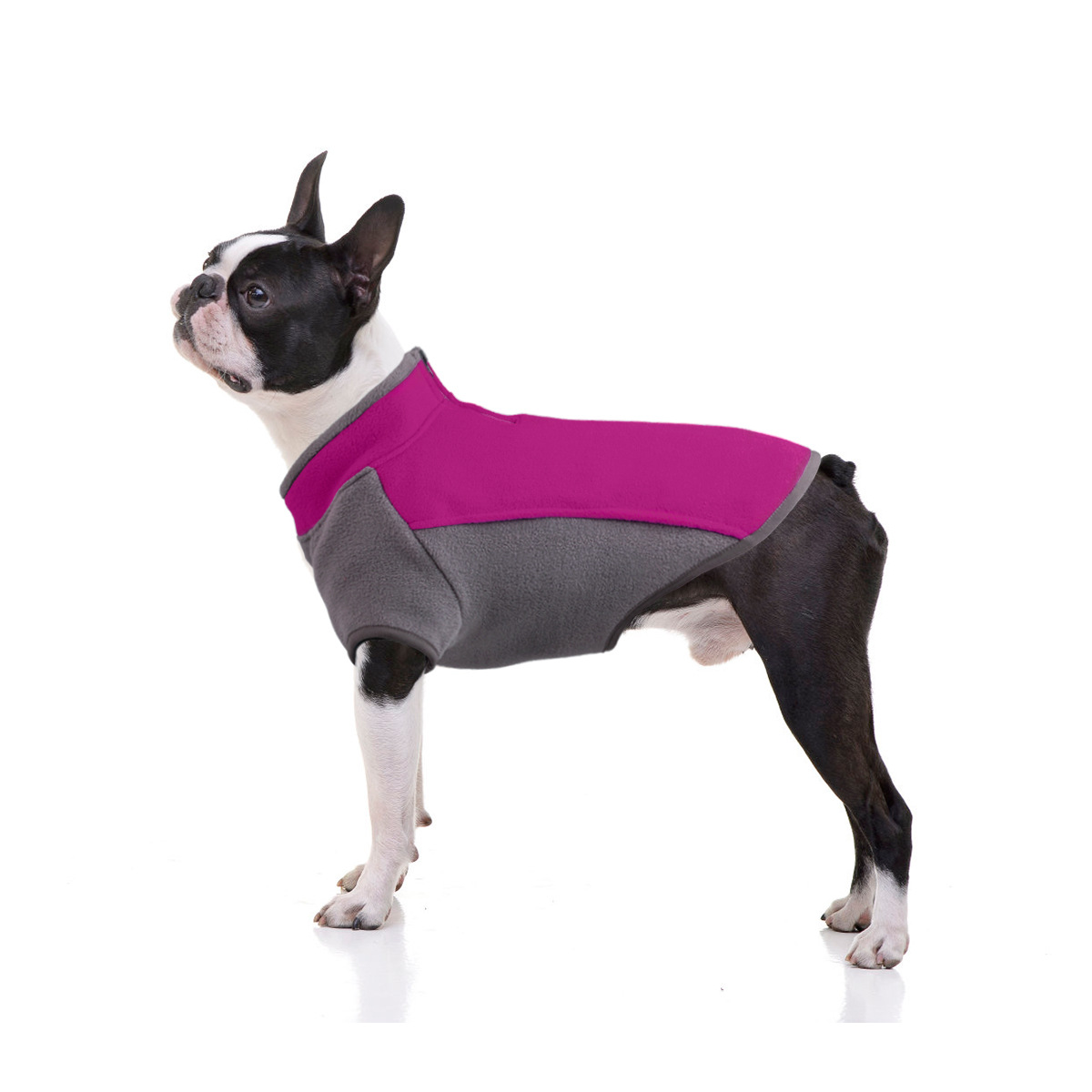 Dog in Turmeric Sweater