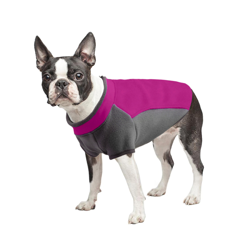 Dog Wearing Fuchsia Sweater