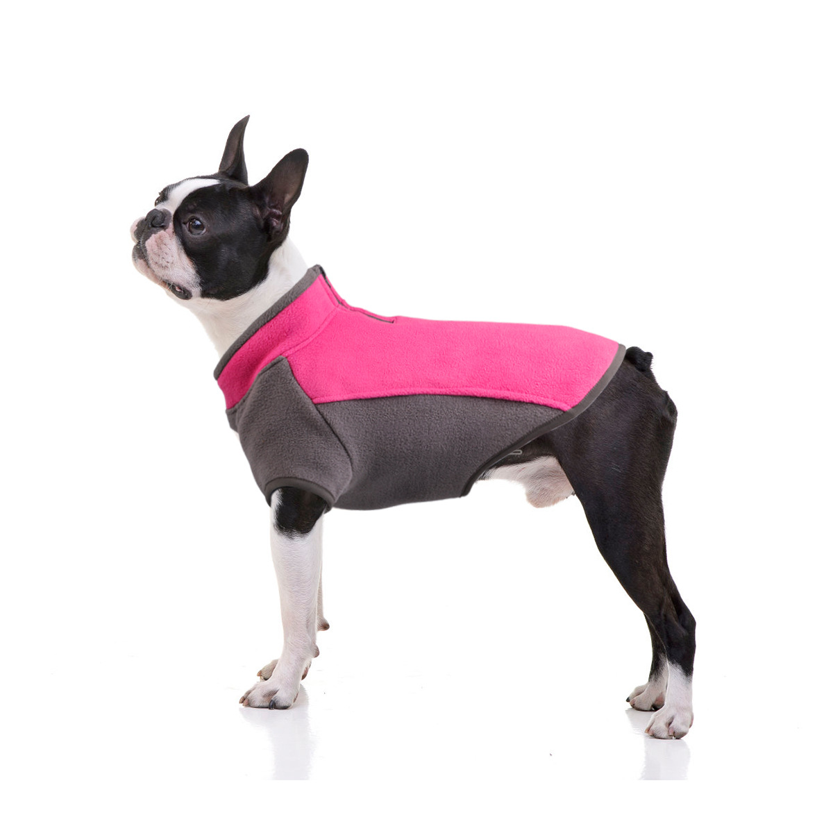 Stylish Dog Sweater
