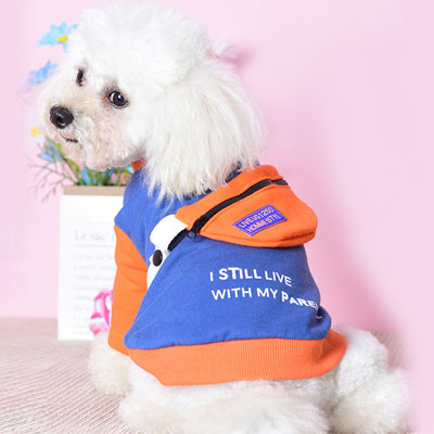 Pet Clothes Two-legged Sweater