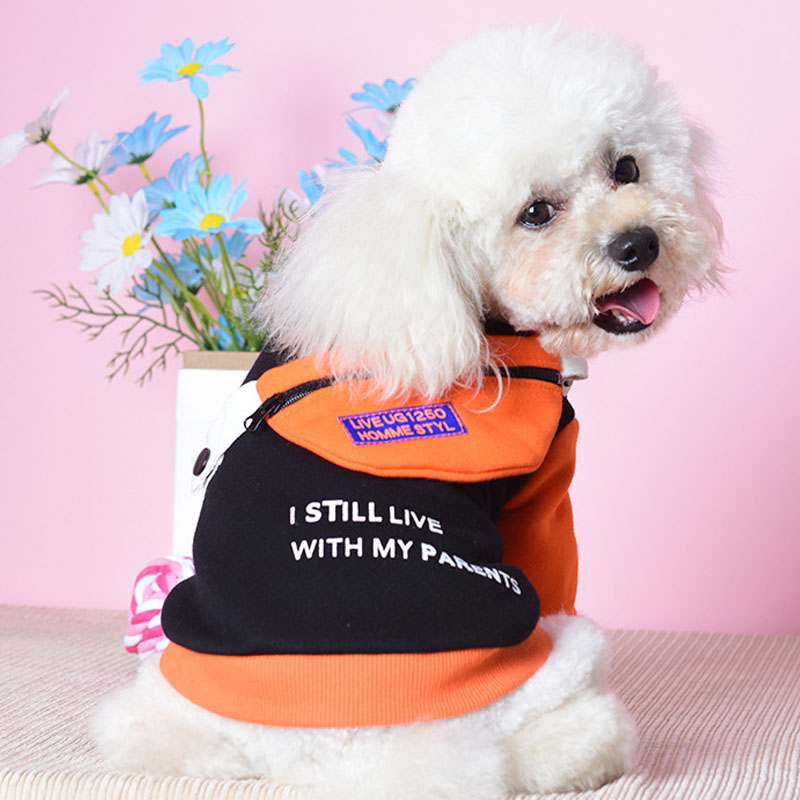 Pet Clothes Two-legged Sweater