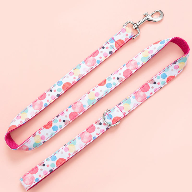 Pet Wearing Bubble Collar